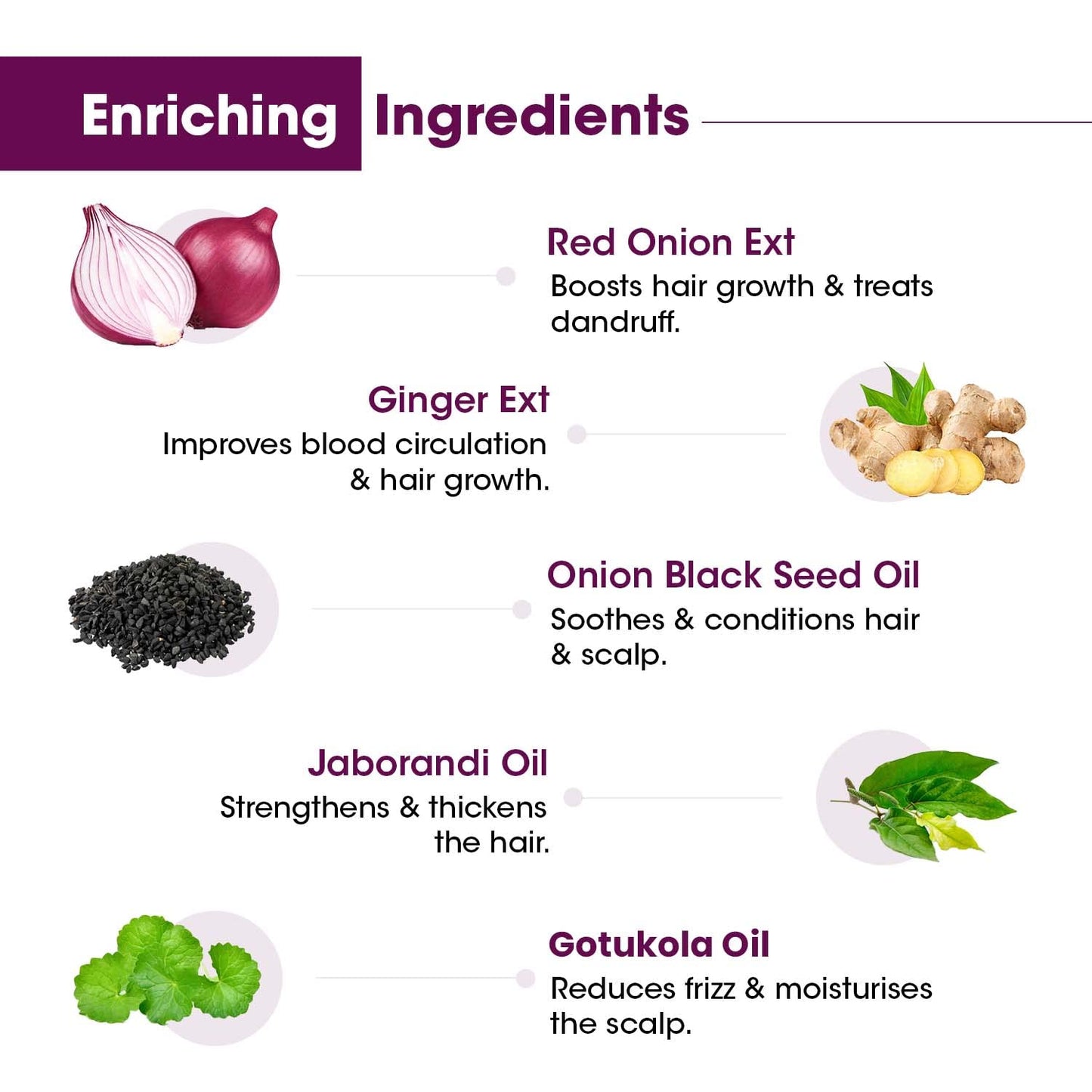 TAC - The Ayurveda Co. Onion with Black Seed and Biotin Hair Nourishment Oil for Hairfall Control 100ml
