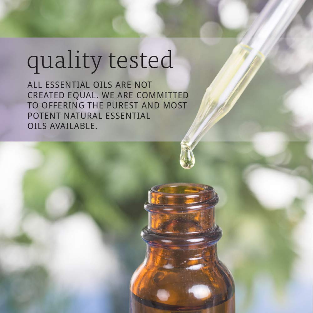 Now Foods Tea Tree Oil, 4 Ounces, Pack of 3