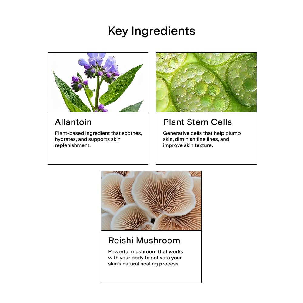 CLEARSTEM - CELLRENEW - Collagen Stem Cell Serum - Acne + Youthful Skin Face Serum - Hyaluronic Acid, Reishi, Aloe Vera - Facial Skin Care Products