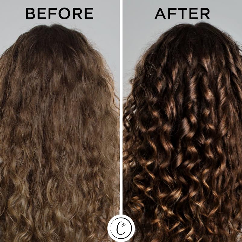 Controlled Chaos Leave-In Conditioner Spray- Anti Frizz Hair Detangler Spray for Dry Damaged Hair with Natural Watermelon & Sunflower Seed Oil & Honey