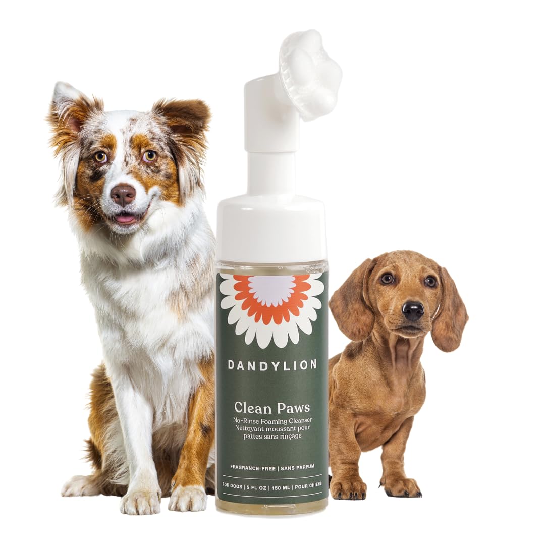 Dandylion Clean Paws No-Rinse Dog Paw Cleaner – Gentle, Fragrance-Free Foaming Wash with Silicone Brush, pH Balanced, Safe for All Dogs, 5 fl oz