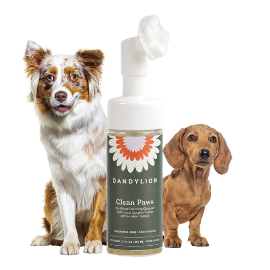 Dandylion Clean Paws No-Rinse Dog Paw Cleaner – Gentle, Fragrance-Free Foaming Wash with Silicone Brush, pH Balanced, Safe for All Dogs, 5 fl oz