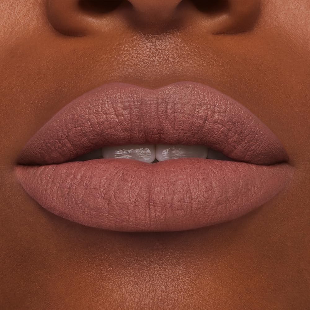 Estée Lauder Pure Color Long-Lasting Matte Lipstick for Women with Matte Finish | Plumping & Nourishing, 0.12 Ounce, 816 Suit Up