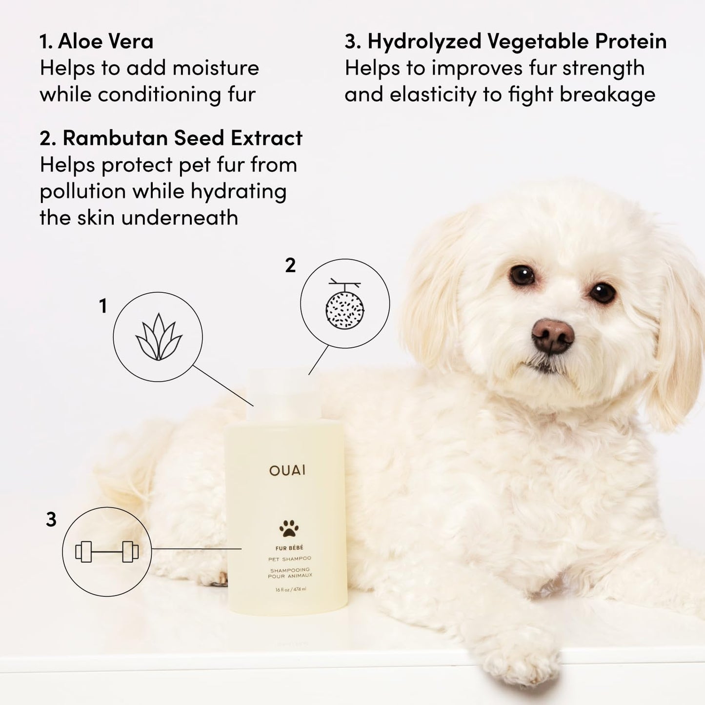 OUAI Fur Bébé Pet Shampoo Mercer Street Scent - Hydrating, Cleansing Dog Shampoo & Coat Wash for Shine - Pet Supplies by OUAI, 16 Fl Oz