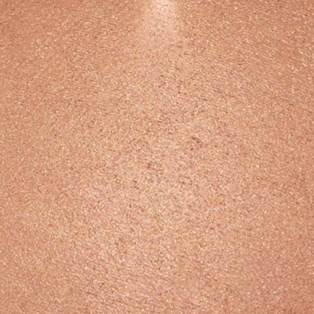 Palladio Baked Bronzer, Pacific Tan, 0.35 Ounce (Pack of 1)