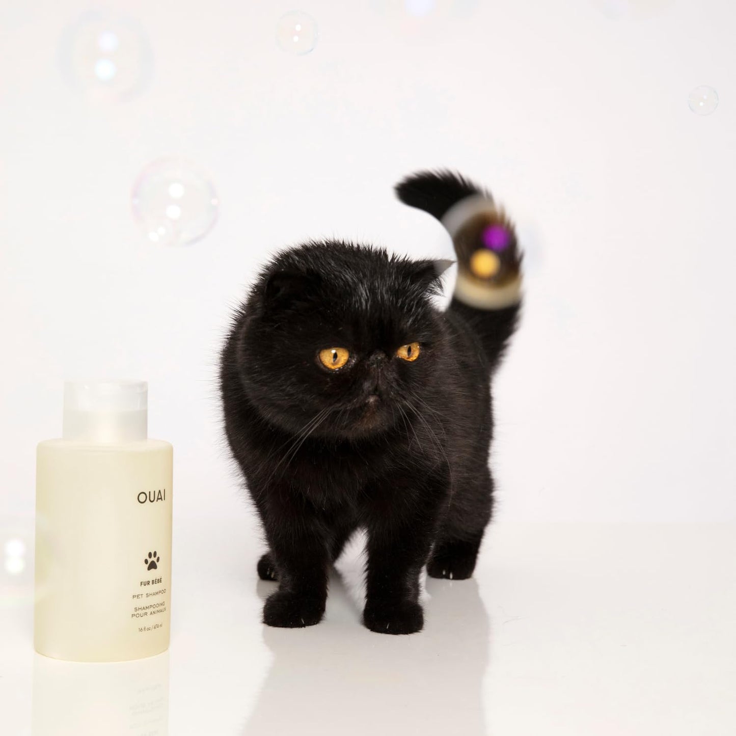 OUAI Fur Bébé Pet Shampoo Mercer Street Scent - Hydrating, Cleansing Dog Shampoo & Coat Wash for Shine - Pet Supplies by OUAI, 16 Fl Oz