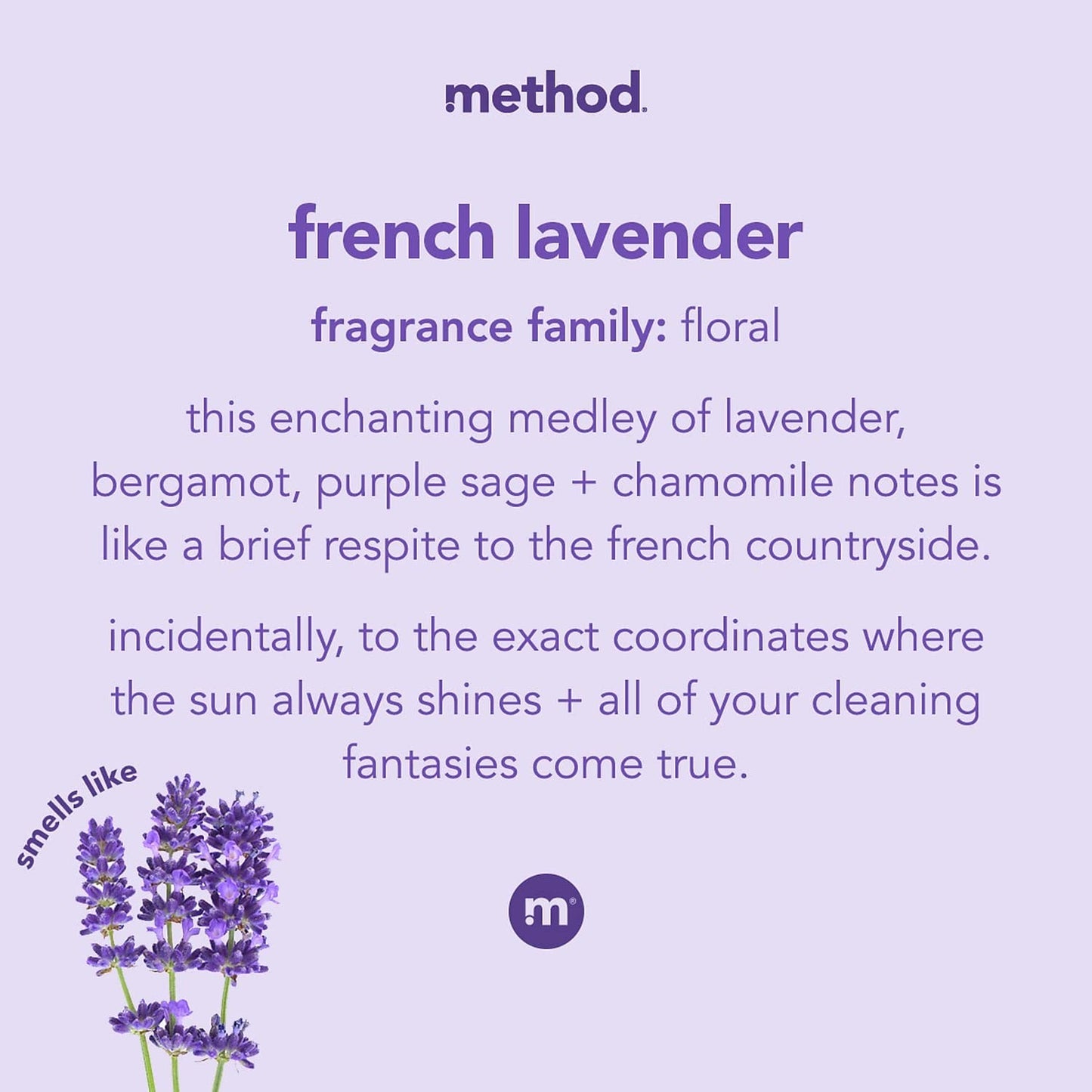 Method 00031 12 Oz French Lavender Hand Wash