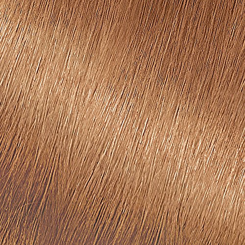 Garnier Nutrisse Nourishing Color Creme, 73 Dark Golden Blonde