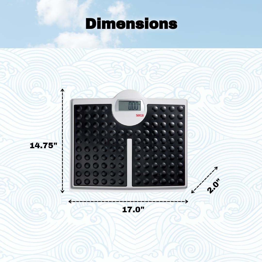 seca 813 - High Capacity Digital Flat Scale for Individual Patient use
