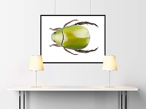 McFarlane: Dragon Series 7 - Fire Dragon Clan