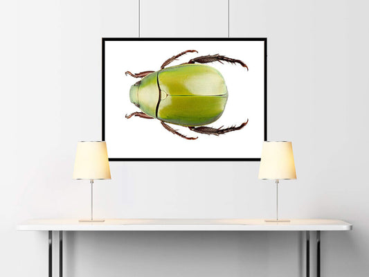 McFarlane: Dragon Series 7 - Fire Dragon Clan