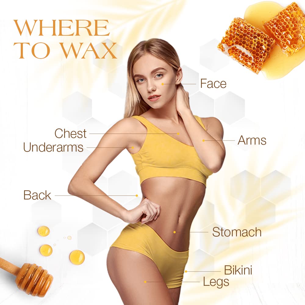 GiGi All Purpose Honee Soft Wax for Hair Removal, Face & Body Waxing, 14 oz Beauty and Personal Care GIGI