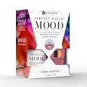 LeChat Perfect Match Mood Duo Set - Love Clouds, (PMMDS72) Beauty & Personal Care LECHAT