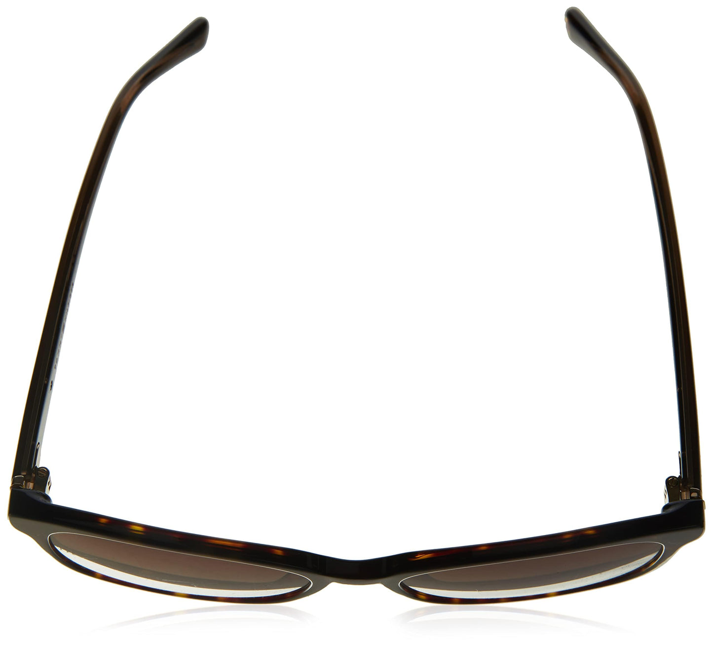 Tommy Hilfiger Women Th 1811/S Sunglasses, Havana/Brown Gradient, 55mm 17mm US