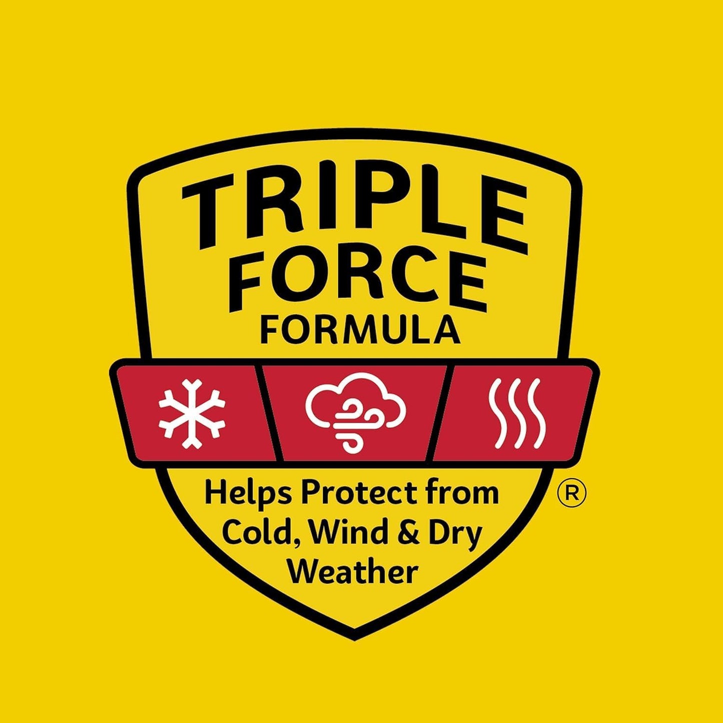 Carmex Broad Spectrum SPF 15 Water Resistant Sun Screen .15 OZ (3 pack of 3 sticks, 9 sticks total)
