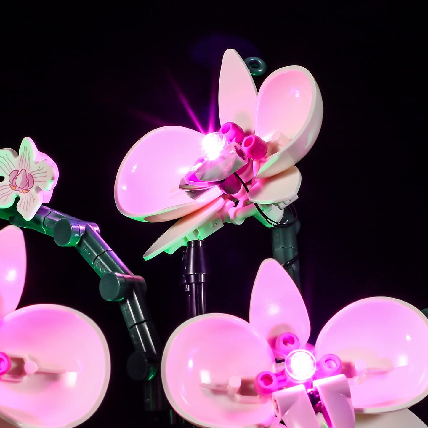 LIGHTAILING Light for Lego-10311 Orchid - Led Lighting Kit Compatible with Lego Building Blocks Model - NOT Included The Model Set