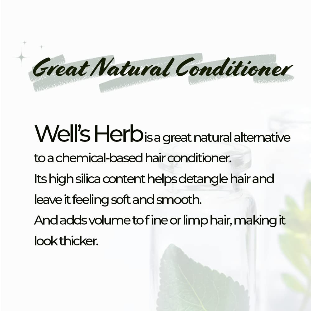 Well's Herb Dried Horsetail | 0.5 oz. | 100% Natural | Herbal Hair & Skin Oil Ingredient | DIY Beauty Essential