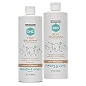 DHS Zinc Shampoo, 16 Oz (Pack of 2)
