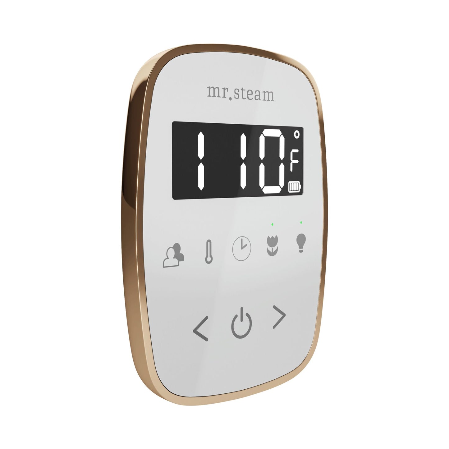 Mr Steam TempoFlex Steam Shower Control and Steamhead in White Polished Gold Beauty and Personal Care Mr. Steam