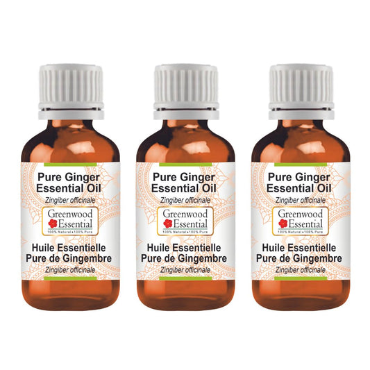 Greenwood Essential Pure Ginger Essential Oil (Zingiber officinale) Steam Distilled (Pack of Three) 100ml X 3 (10.1oz) Beauty and Personal Care Greenwood Essential