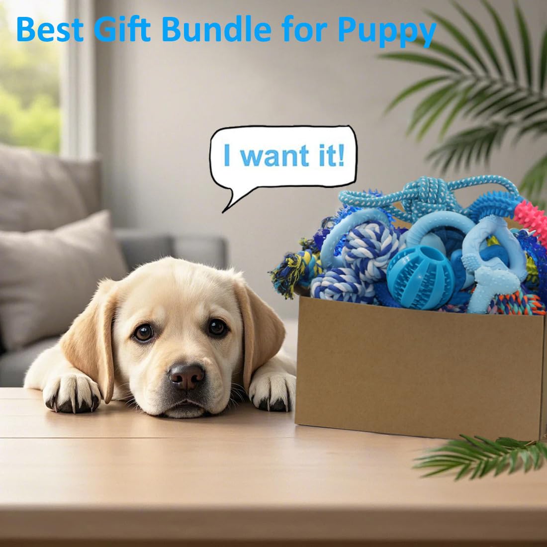 Beiker 20 Pack Puppy Chew Toys - Blue Teething Rings, Ropes & Rubber Balls for Small Dogs, Interactive Puppy Toys Bundle for Small Breeds