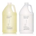 GIOVANNI Eco Chic Smooth as Silk Deep Moisture Shampoo & Conditioner Set - Aloe Extract, Calms Frizz, Detangles, Lauryl & Laureth Sulfate Free