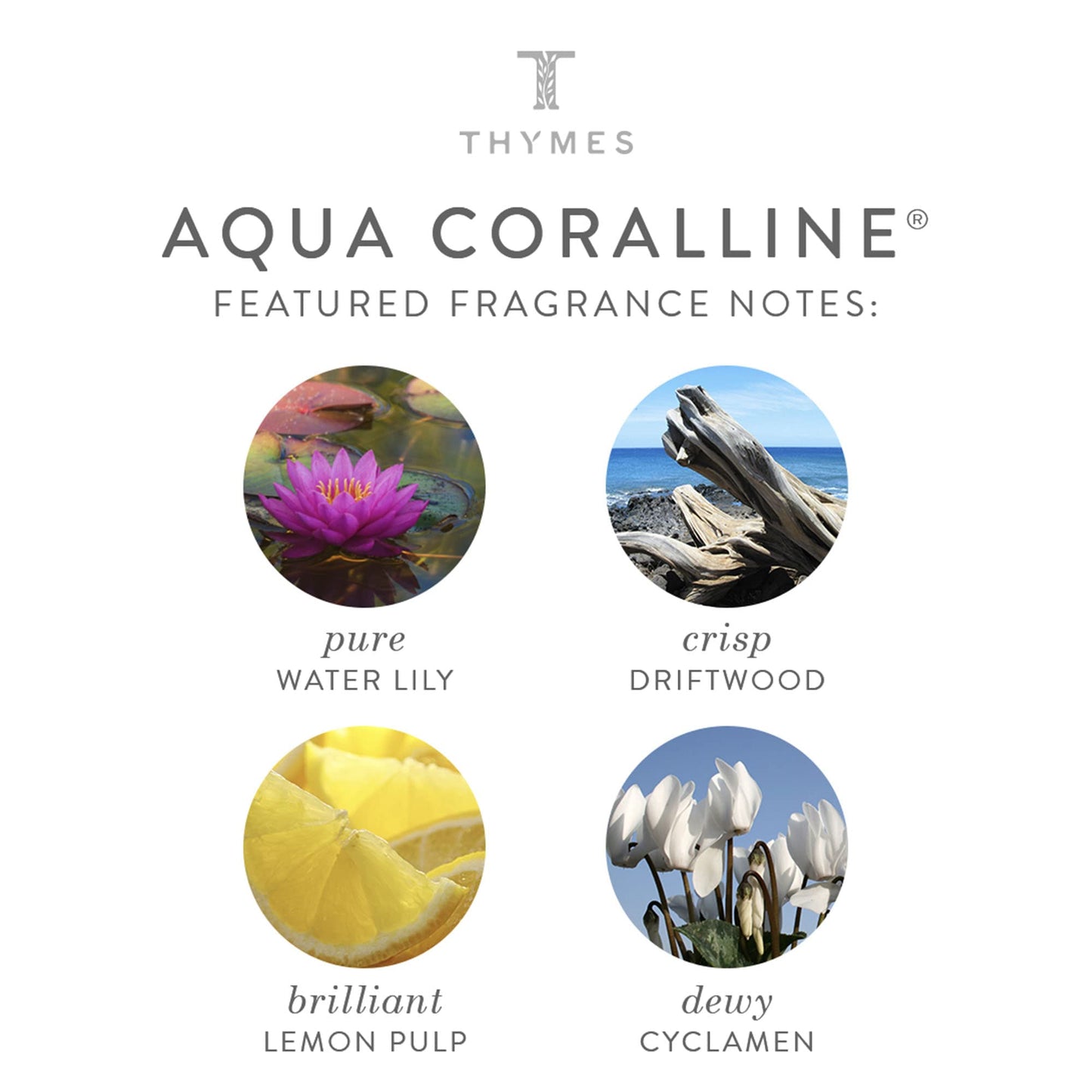 Thymes - Aqua Coralline Cologne - Refreshing Beach Fragrance - 1.75 oz