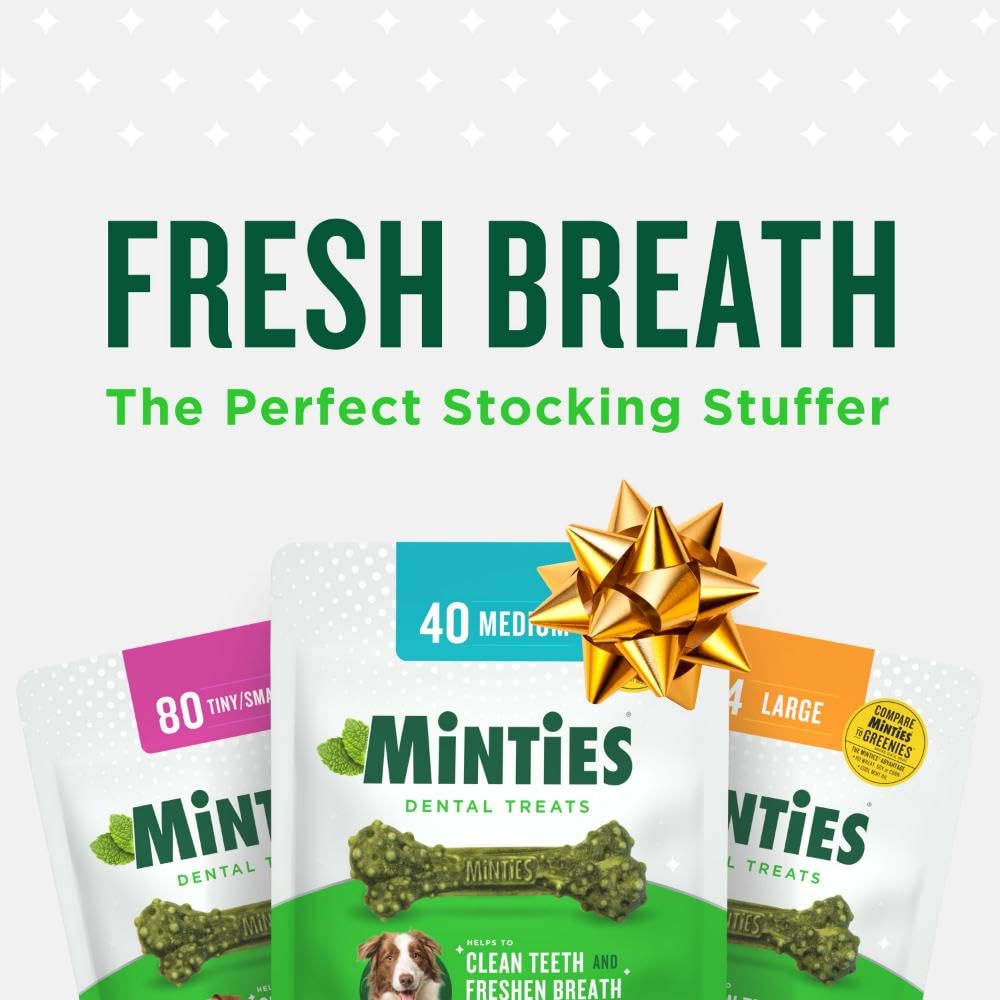 Minties Dental Chews for Medium Dogs (60 Count) – Vet-Recommended Treats Clean Teeth, Freshen Breath, Remove Plaque & Tartar