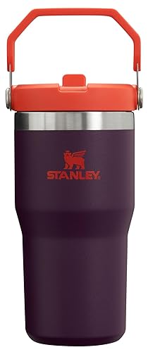 Stanley IceFlow Flip Straw Tumbler with Handle 20 oz | Twist On Lid and Flip Up Straw | Leak Resistant Water Bottle | Insulated Stainless Steel…
