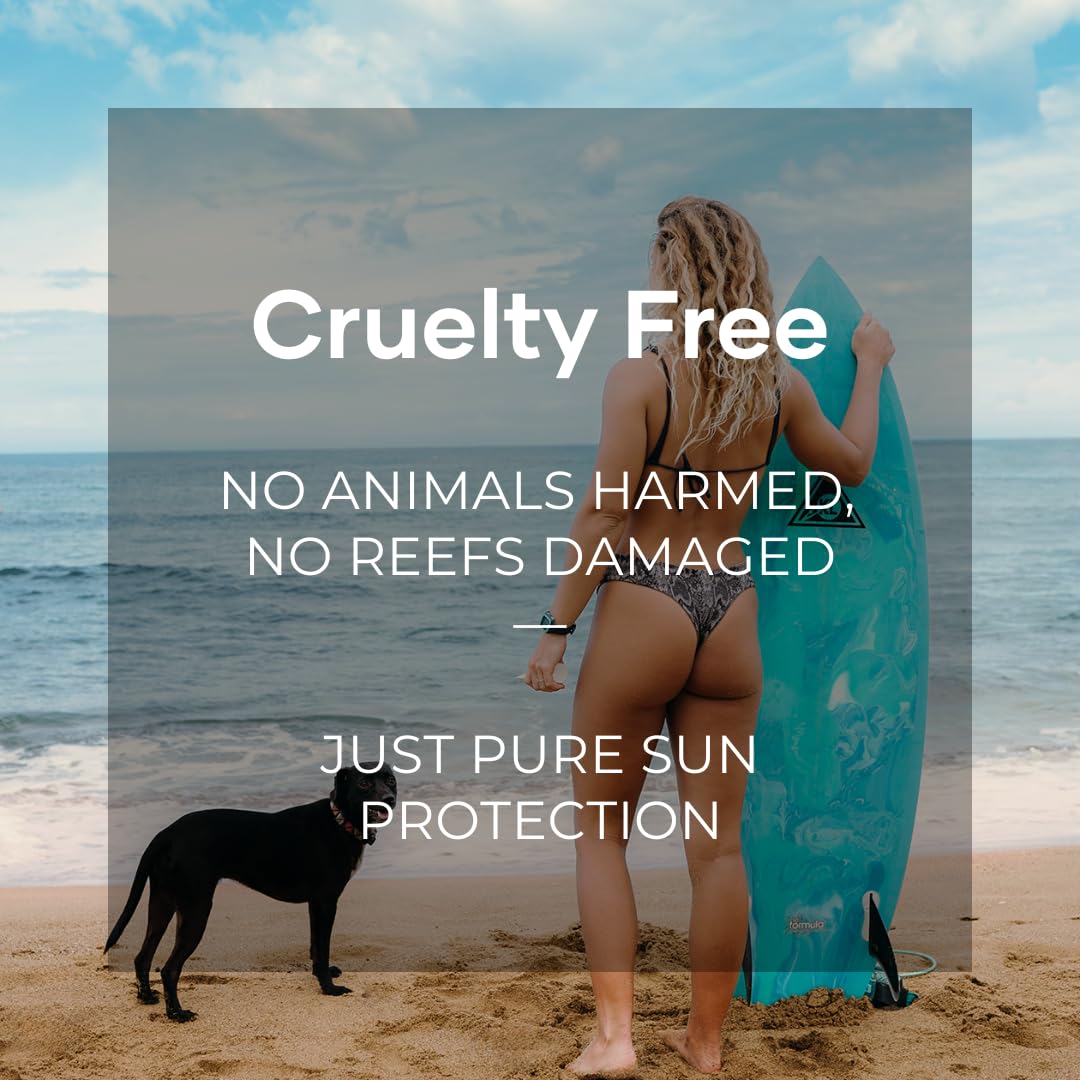 Reef Safe Sunscreen SPF 50 Facestick - Biodegradable, Hawaii & Mexico Approve, Zinc, Vitamin E, Oxybenzone & Octinoxate Free, Water Resistant, Natural