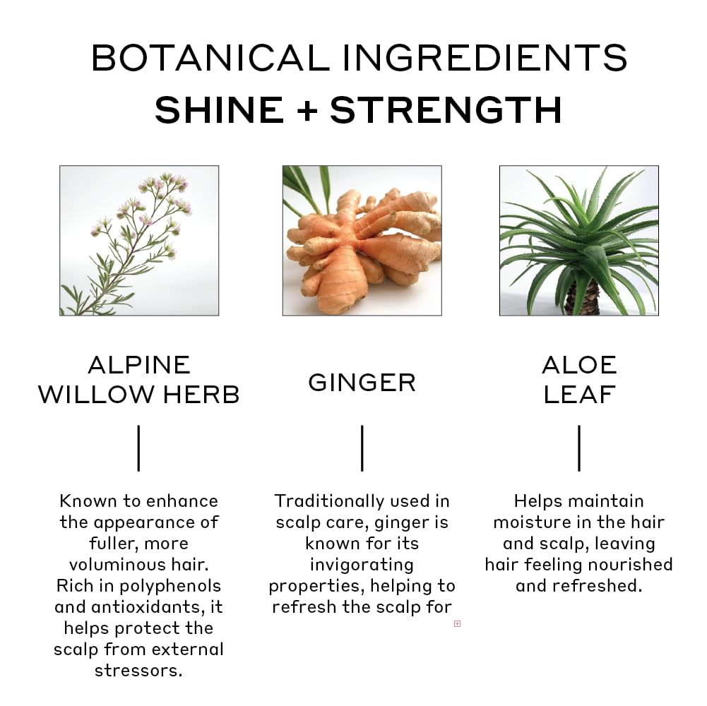 ZENAGEN Evolve Repair + Protect Nourishing Shampoo (Unisex) | Repairs & Strengthens Damaged Hair, Promotes Thicker Fuller Hair, Plant-Based