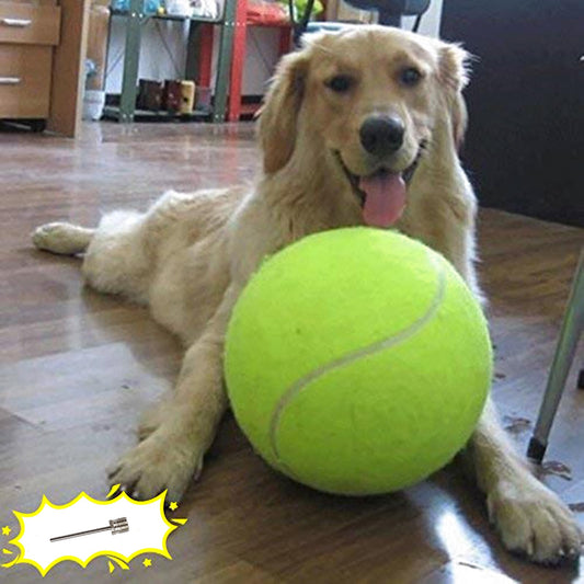 Banfeng Giant 9.5" Dog Tennis Ball – Large Pet Toy for Outdoor Play, Includes Inflating Needles, Fun for Small, Medium & Large Dogs