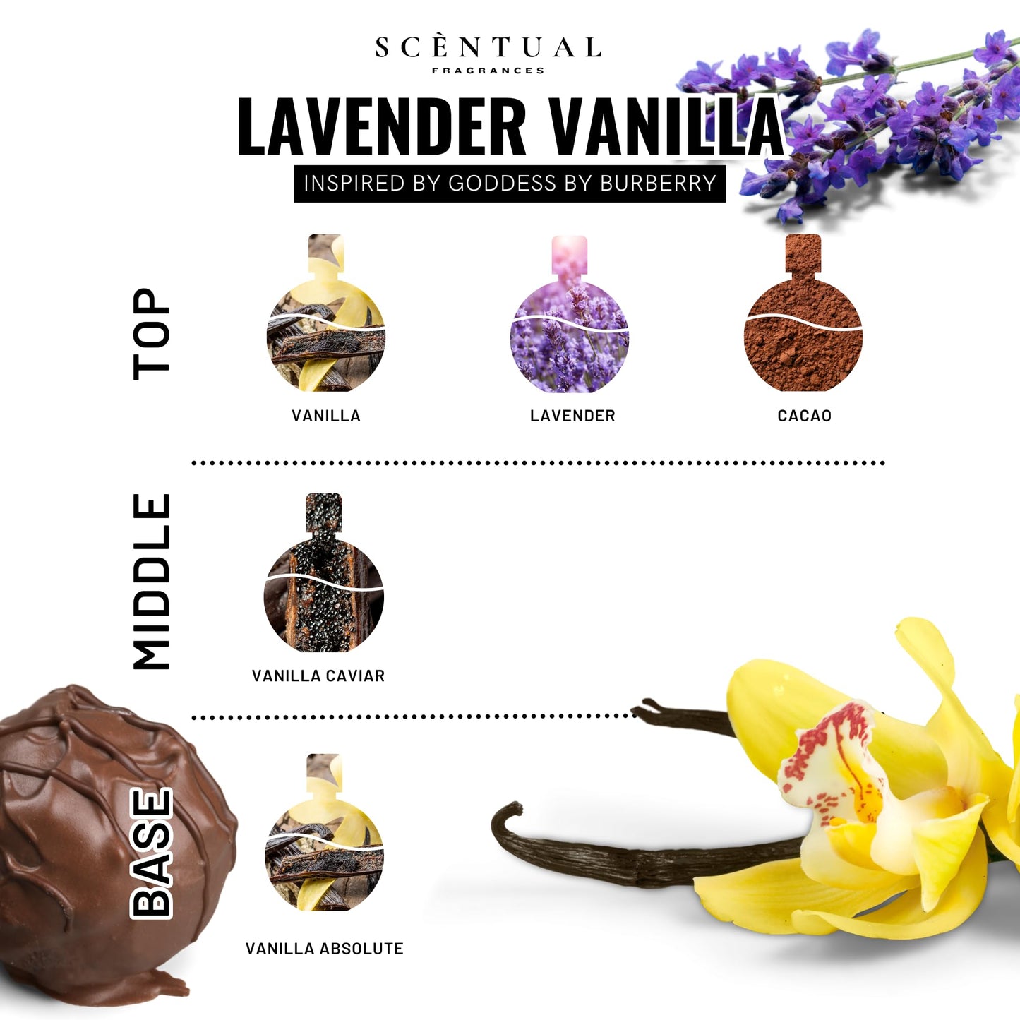 Scentual Fragrances, Ultra-Concentrated Hair & Body Perfume Mist, Long Lasting Women's Fragrance, Gourmand Perfumes for Women, Vegan and Cruelty Free