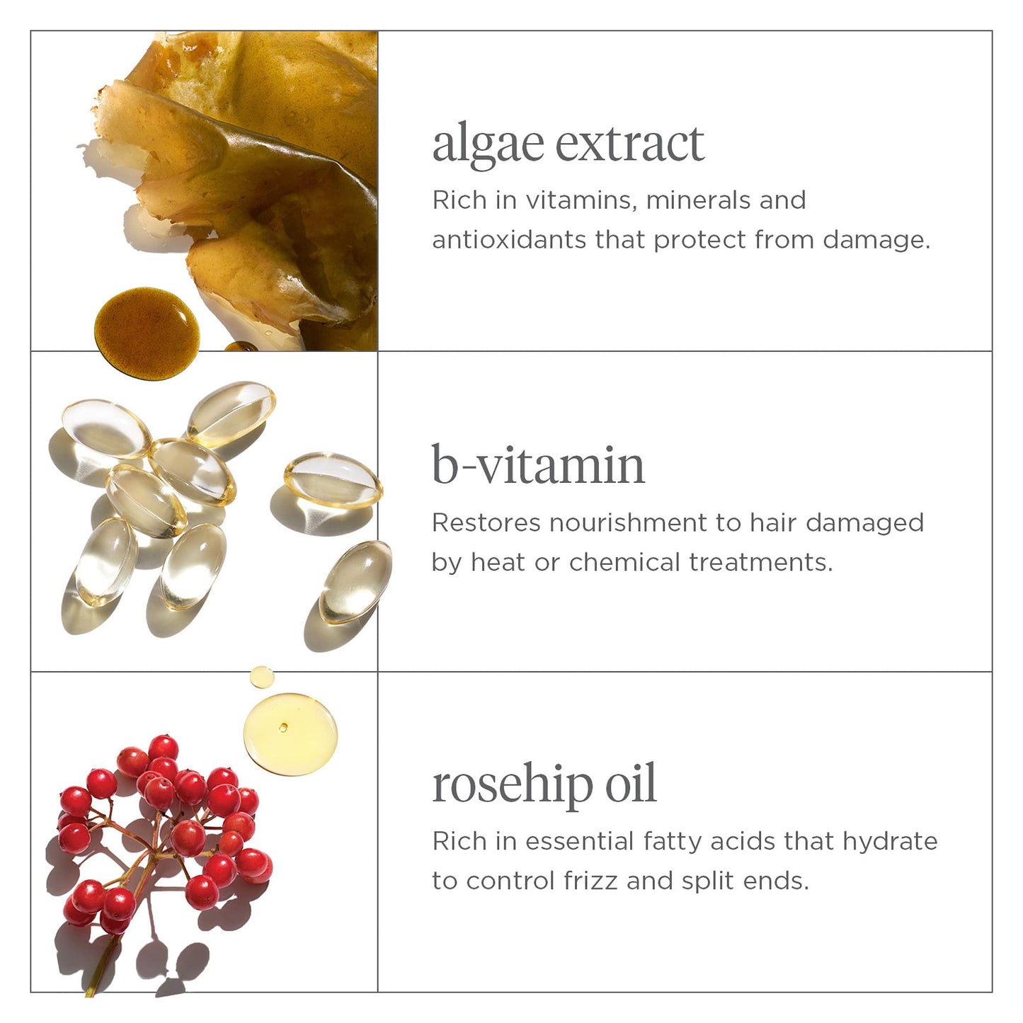 Briogeo Don't Despair, Repair! Super Moisture Shampoo, Dry Damaged Hair, Hair Shampoo with Argan Oil for Hair, Hair Moisturizer Hair Treatment