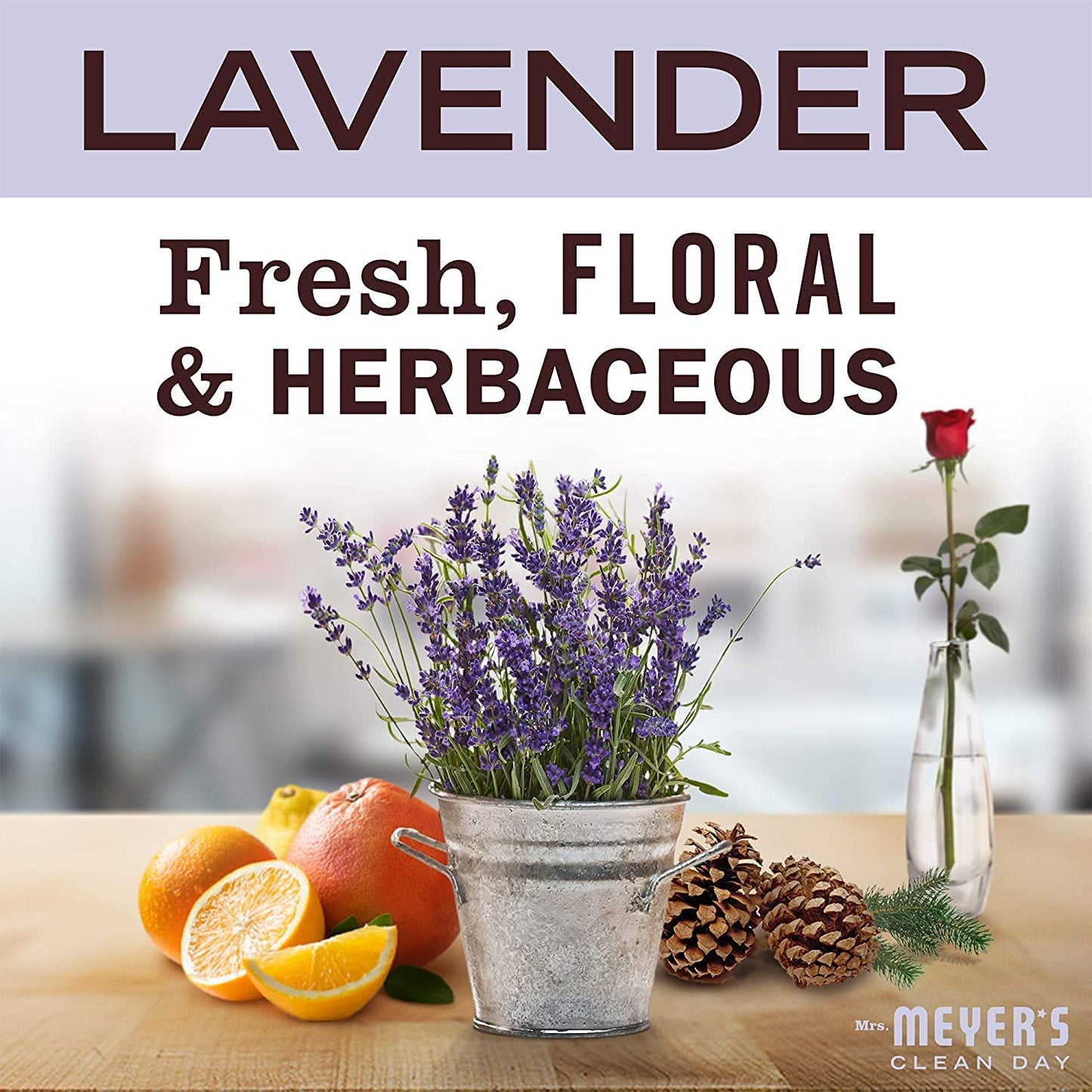 Mrs. Meyer's Liquid Hand Soap, Cruelty Free and Biodegradable Hand Wash Formula Made with Essential Oils,16 oz - Pack of 2 (Lavender)