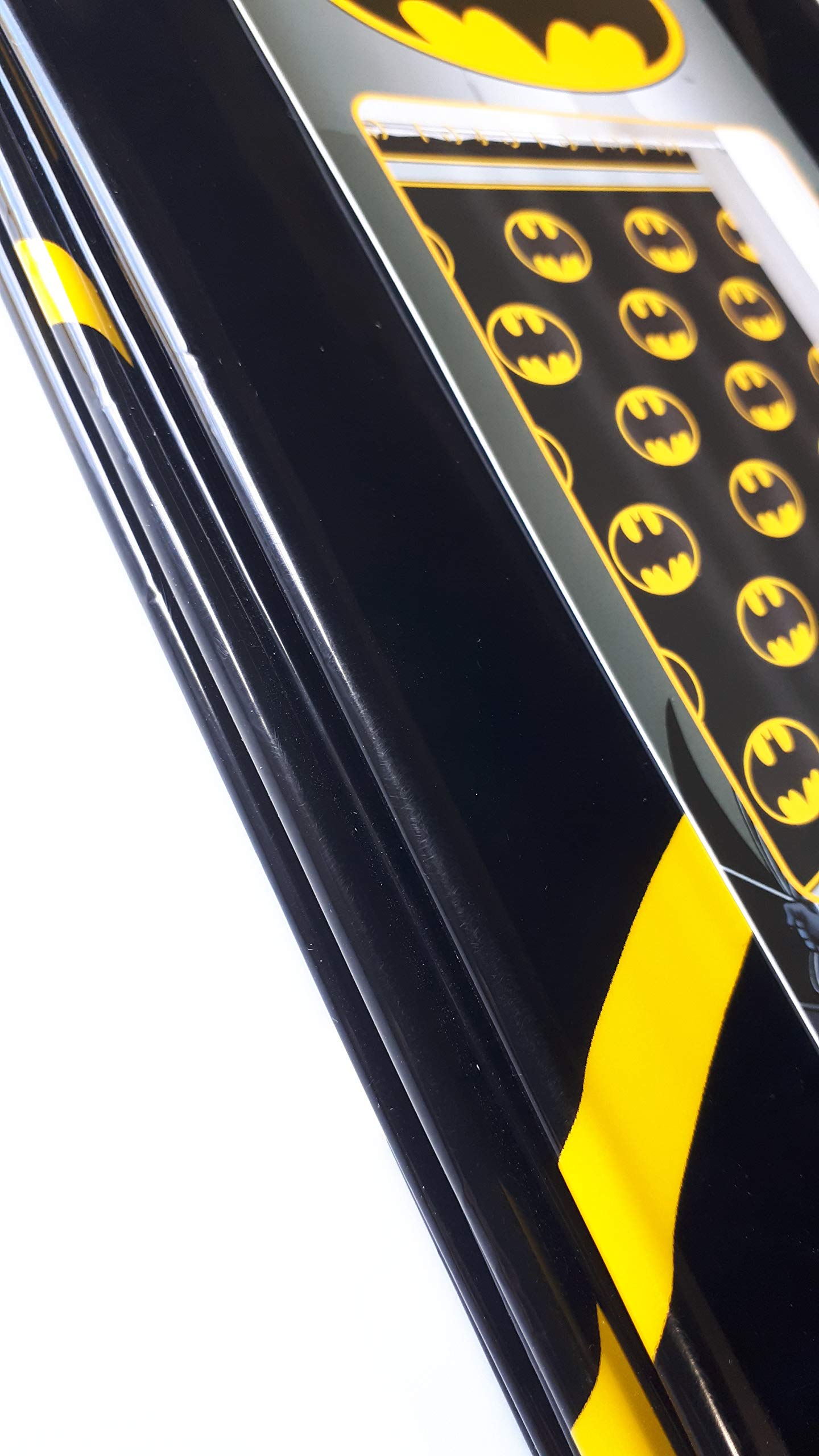 Warner Brothers Batman Logo PEVA Shower Curtain