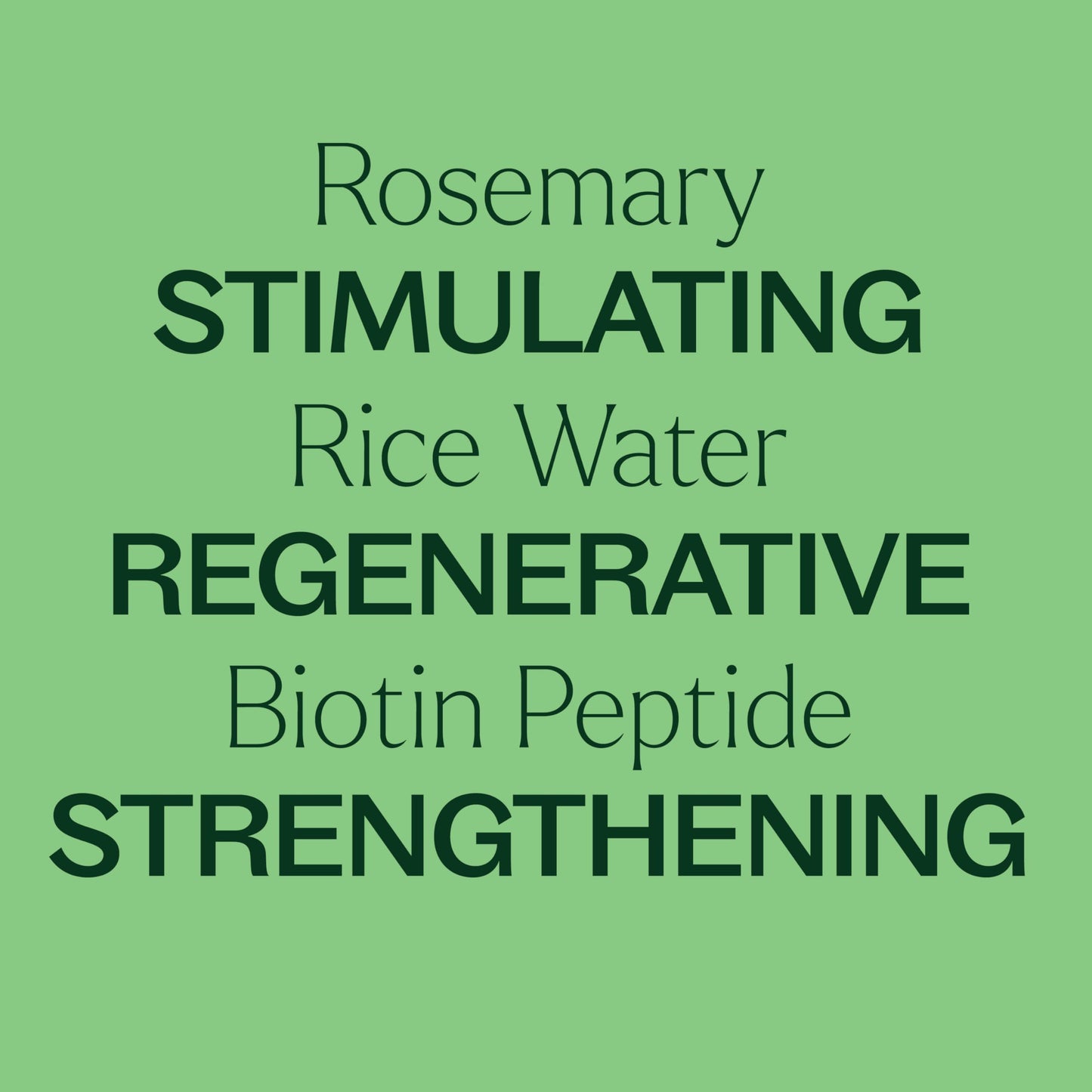 Plant Therapy Rosemary & Rice Water Spray 4 oz Daily Hair Growth Spray, Maximizes Natural Hair Growth, Boosts Strength & Elasticity, Adds Volume