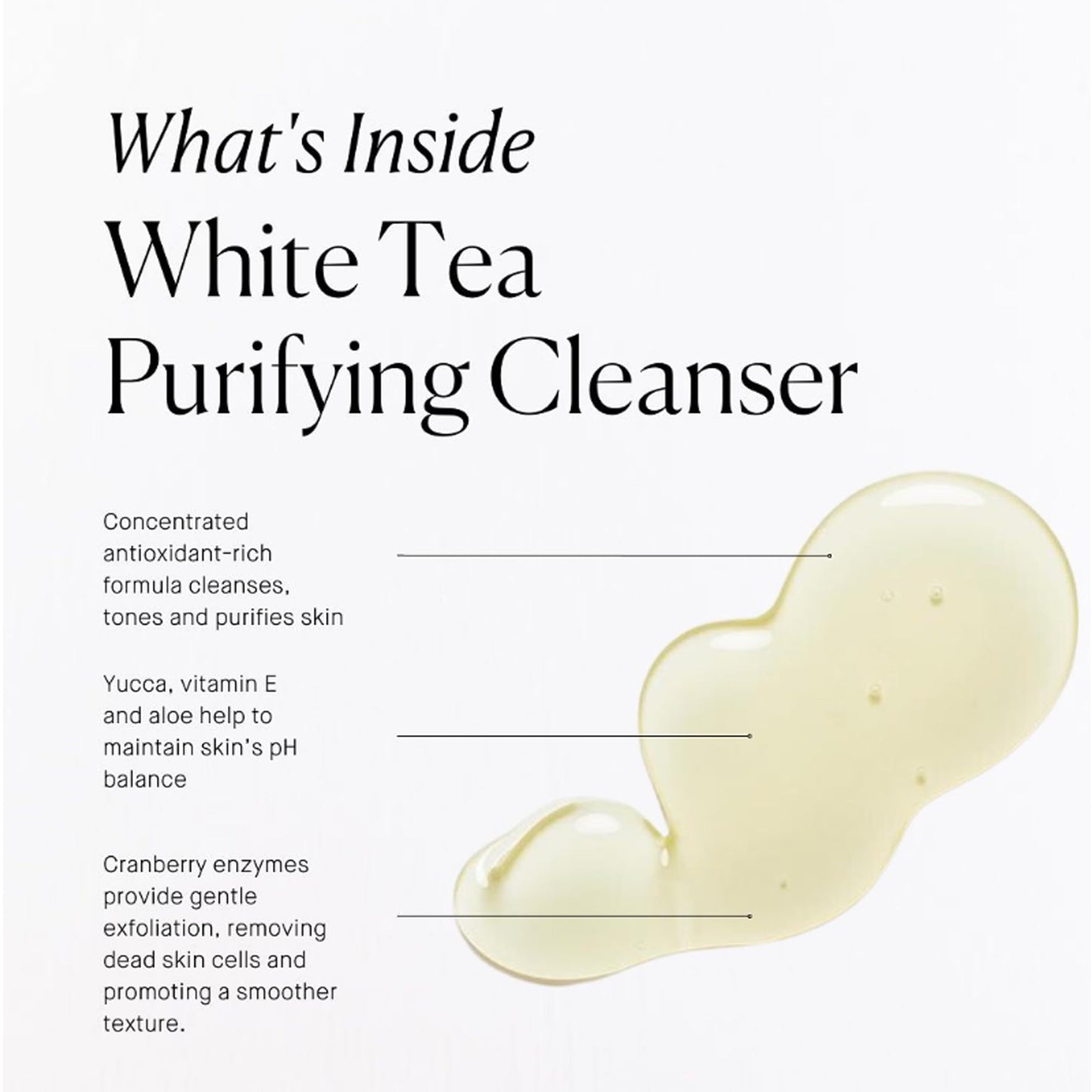 ARCONA White Tea Purifying Water Based Cleanser For Sensitive Skin - Gentle Face Wash For Women - Exfoliating Face Wash, Cranberry, Yucca, Vitamin E