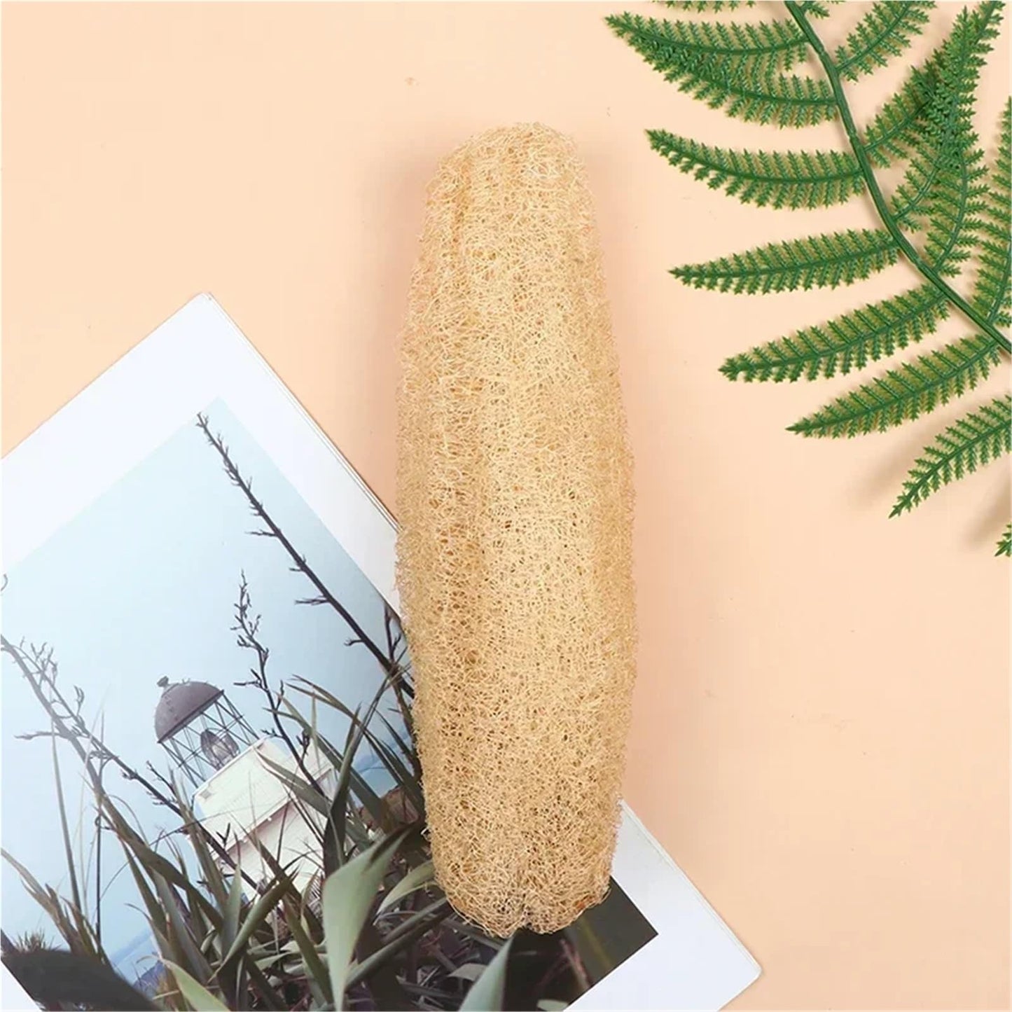 2PCS Natural Loofah Luffa Loofa Bath Body Shower Exfoliating Scrubber Sponge Kitchen Scrub Pad Rub Pot Dishes Cleaning Brush(2PCS(20-29cm)) Beauty and Personal Care HIVJEEDYH