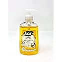 Dalan Hand Wash Anti-Bacterial Active Protection 10.15 Ounce Pump (300ml)