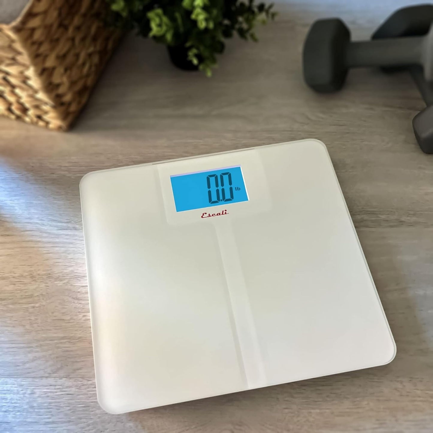 Escali High Capacity Anti-Slip Digital Bathroom Scale for Body Weight with Extra-High 562-lb Capacity, Batteries Included