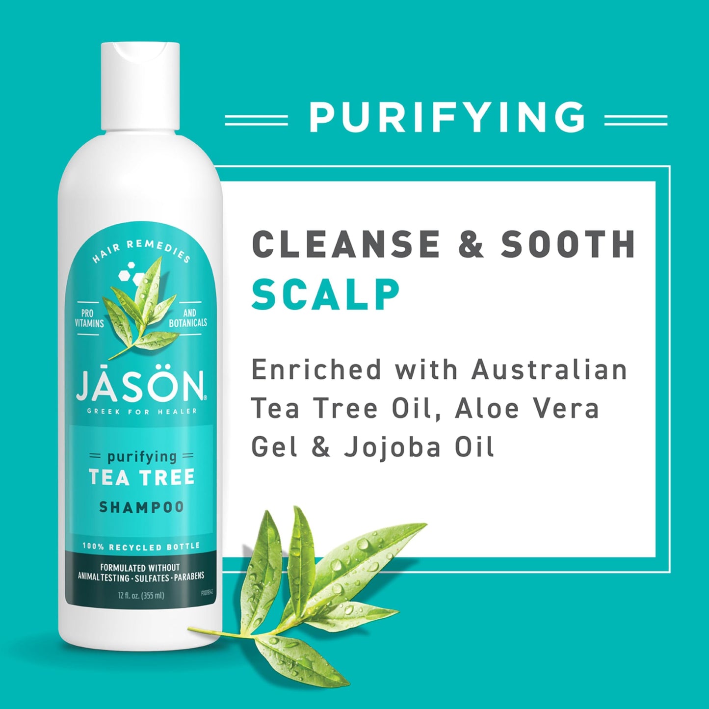 Jason Tea Tree Shampoo 12 oz