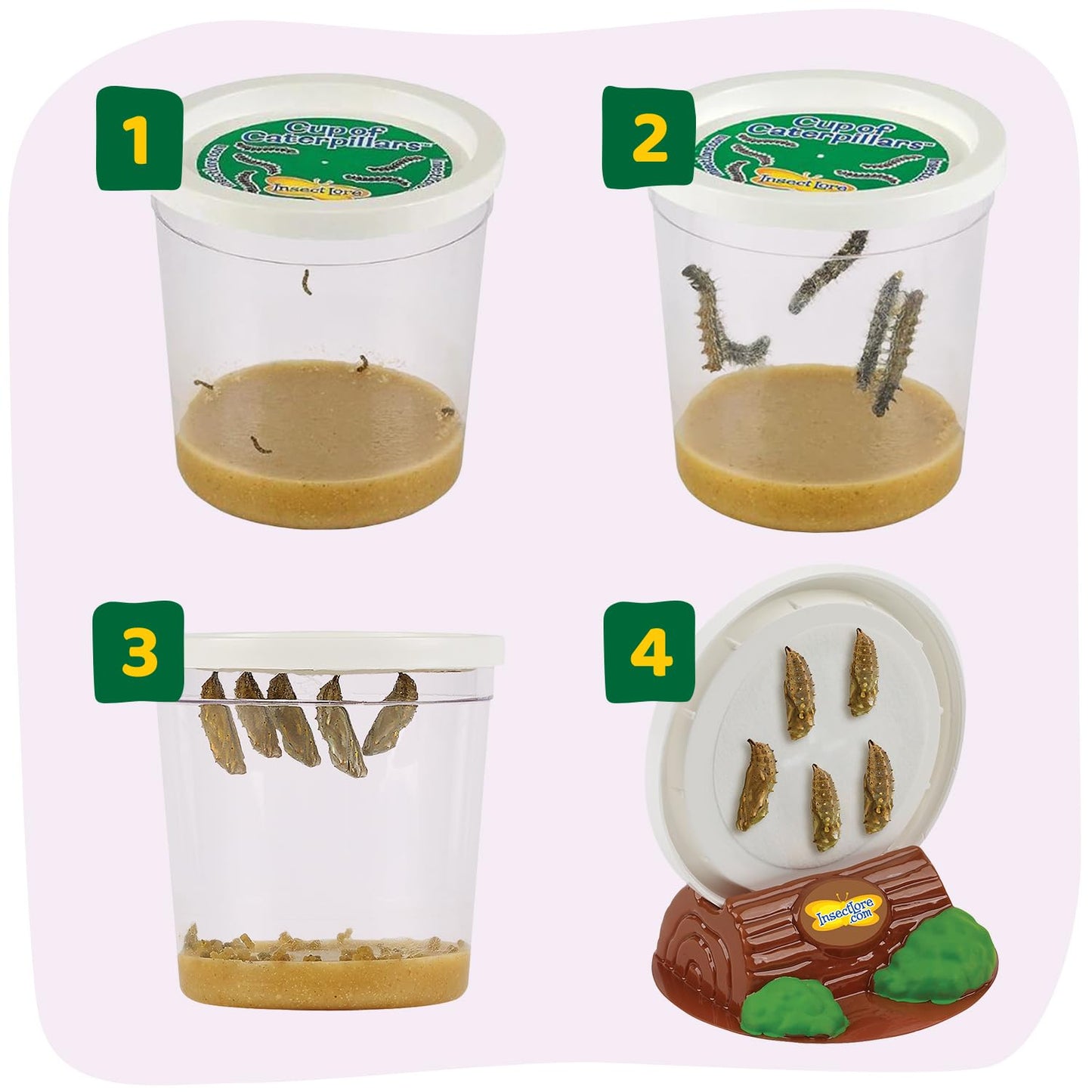 Insect Lore Butterfly Garden Kit – STEM Live Butterfly Growing Habitat with Caterpillars & Voucher, Educational Kit for Kids, Classrooms & Homeschool