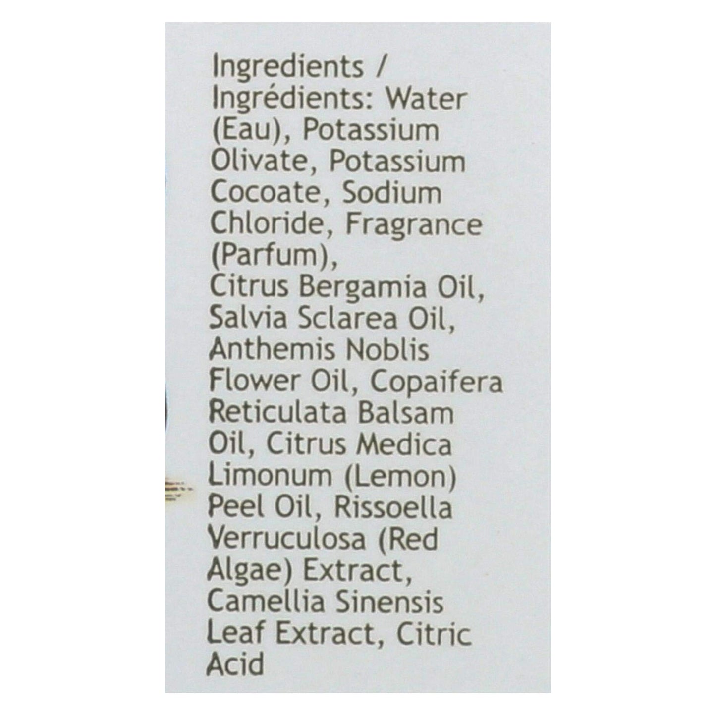 South Of France Hand Wash Green Tea 8 Oz by South Of France Beauty & Personal Care South Of France