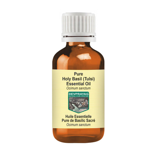 Devprayag Holy Basil (Tulsi) Essential Oil (Ocimum Sanctum) Pure - Non-Sticky - Non-Greasy - Lightweight - Men & Women - All Skin Types - Steam Beauty and Personal Care DEVPRAYAG