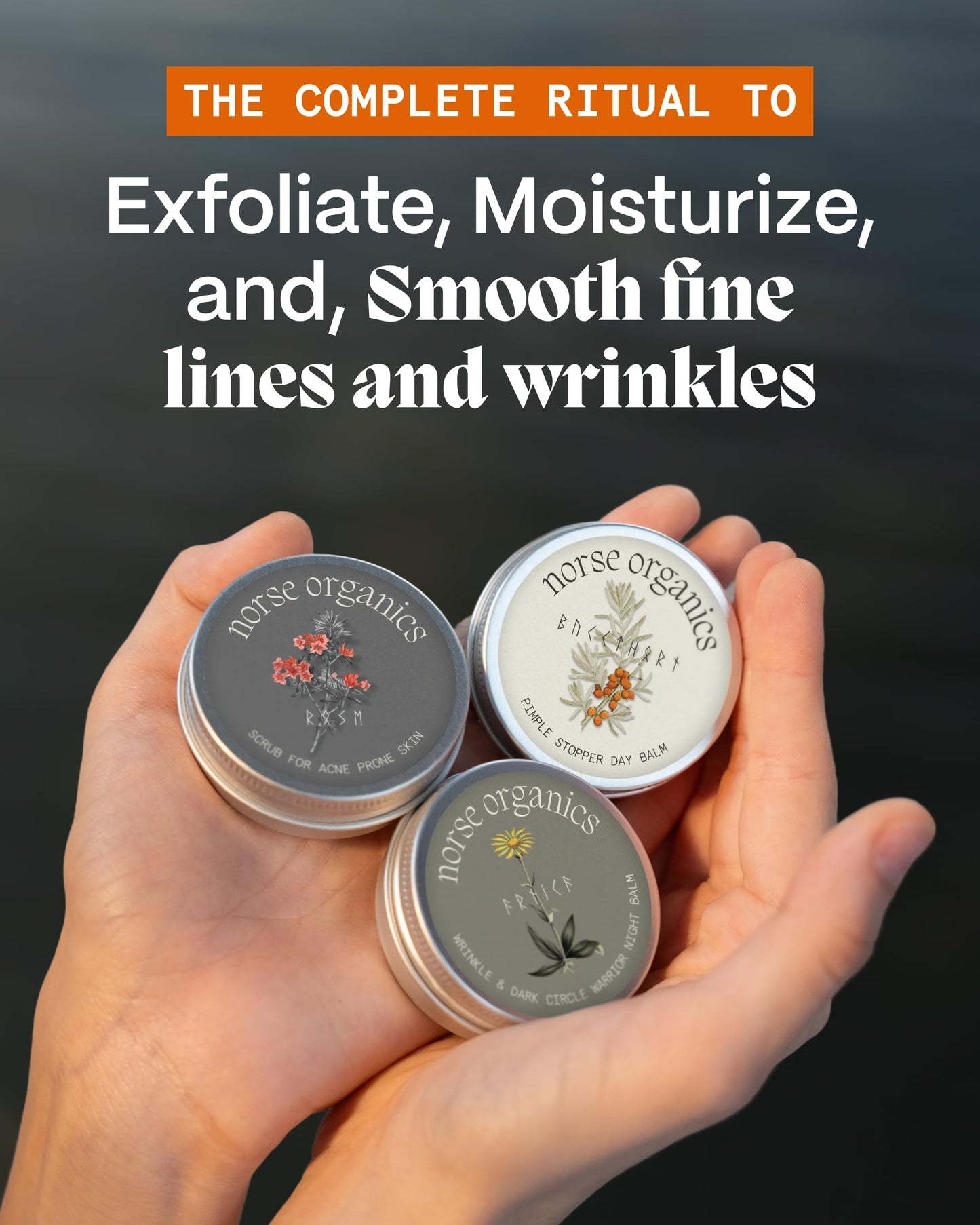 Norse Organics | Anti Age & Glow Ritual | 3 Step System Wrinkle Warrior Day Balm Face Scrub | Wild Arnica Pomegranate Arctic Herbs | Natural Skincare