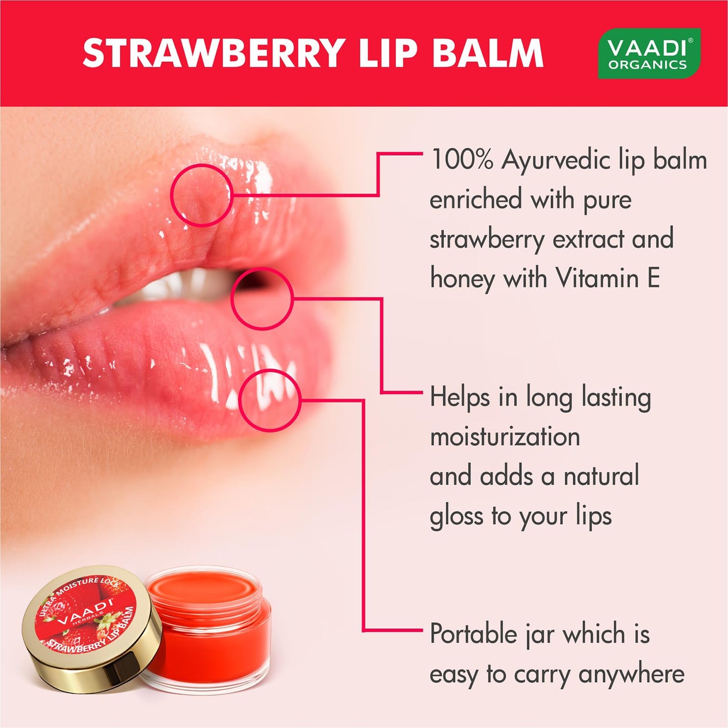 Vaadi Herbals Lip Balm, Strawberry and Honey, 10g (Pack of 4) Beauty and Personal Care Vaadi Herbals