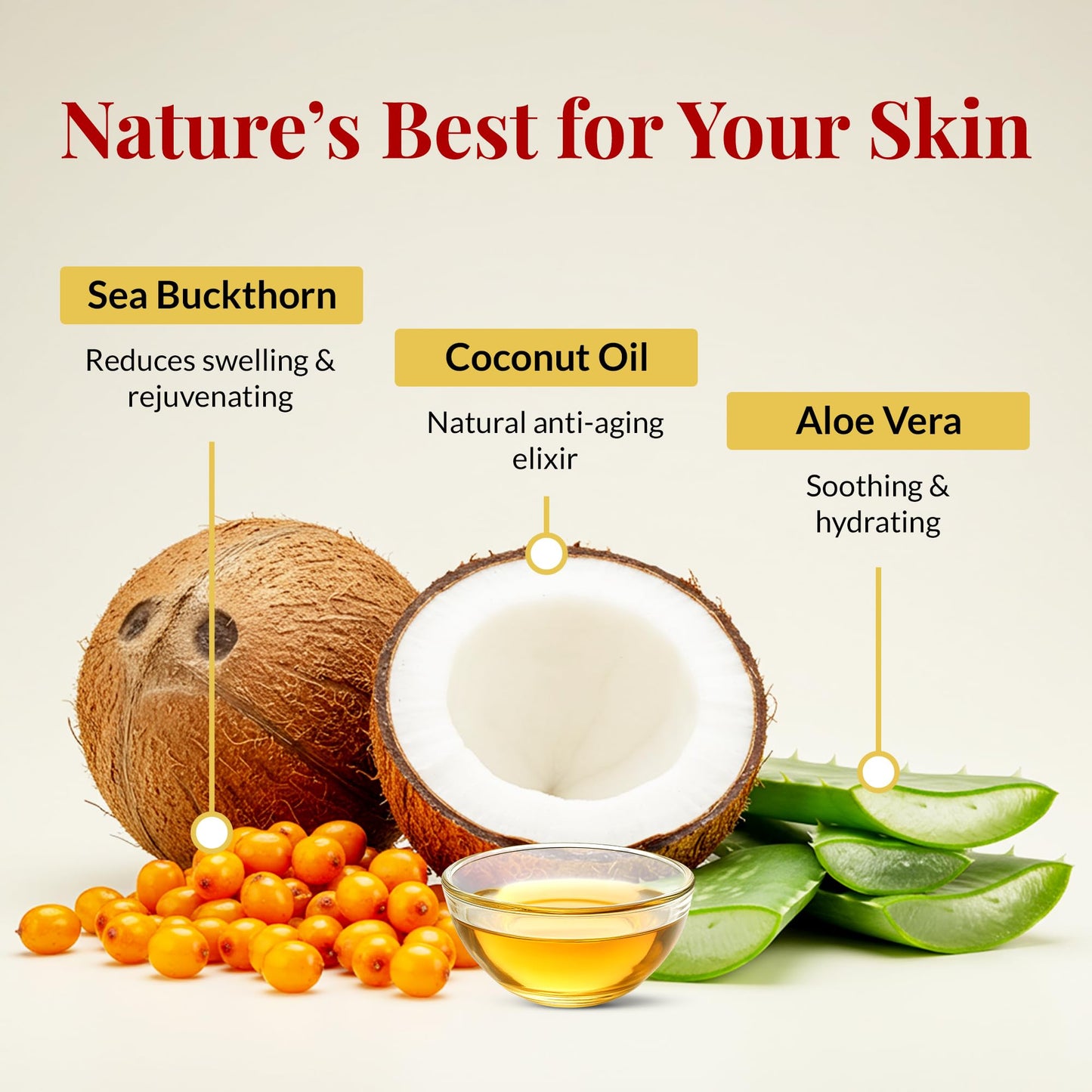 FACEDOCTOR Complexion Bar Soap | Acne & Rosacea Treatment with Sea Buckthorn Oil | Award Winning Face, Body & Back Pimple Wash | Gentle Skin Care Beauty & Personal Care FACEDOCTOR