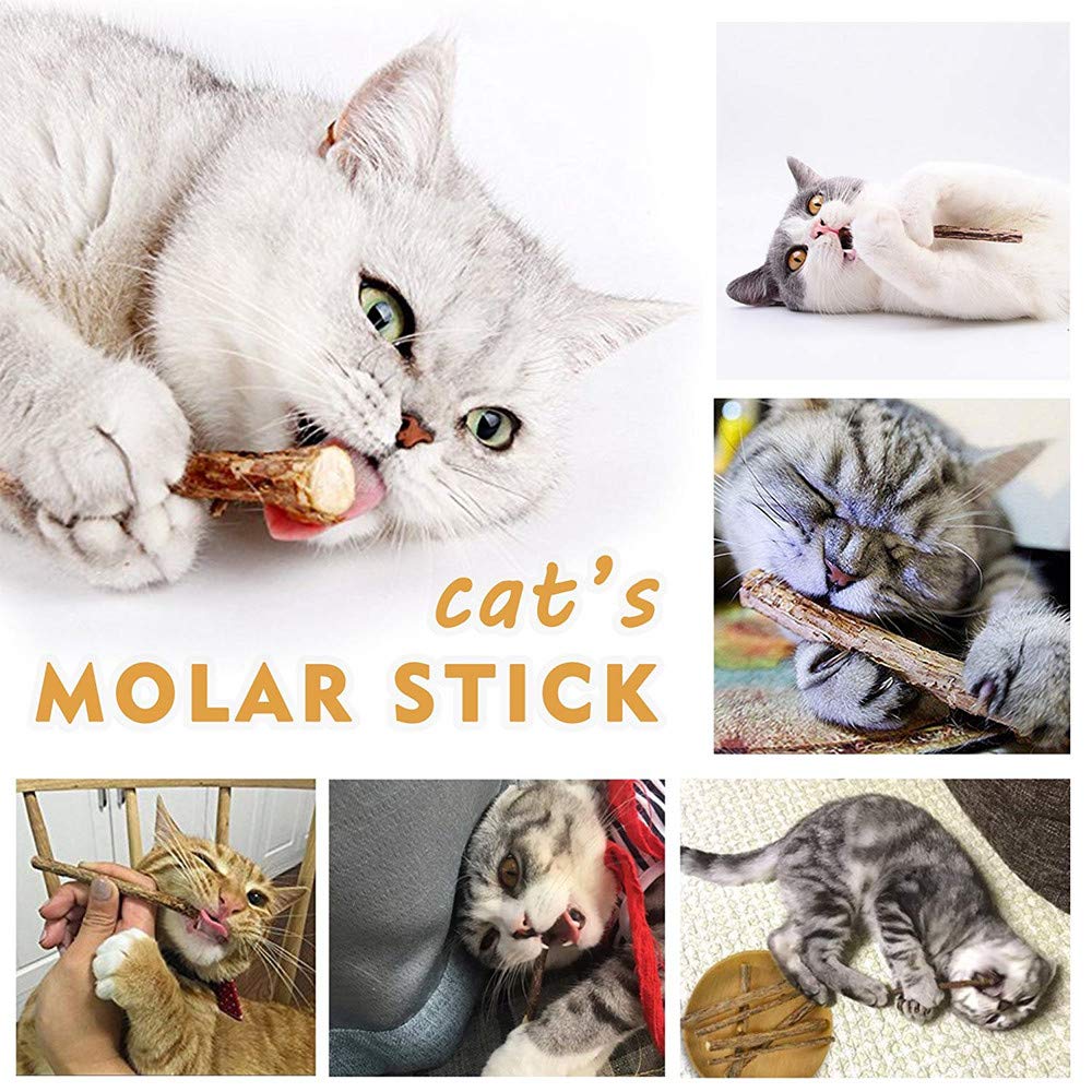 WoLover Silvervine Sticks for Cats, Natural Catnip Matatabi Chew Sticks Teeth Molar Chew Toys for Cat Kitten Kitty (at Least 12 PCS)