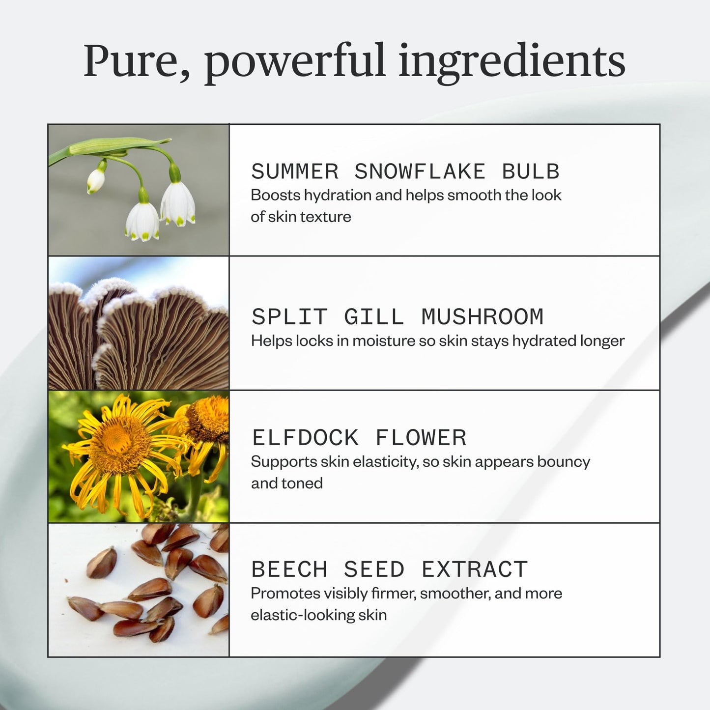 Ursa Major Vital Spring Hydration Mask | Deeply Hydrating Natural Mask| Plumps Skin’s Appearance, Boosts Firmness & Smooths Appearance of Fine Lines |
